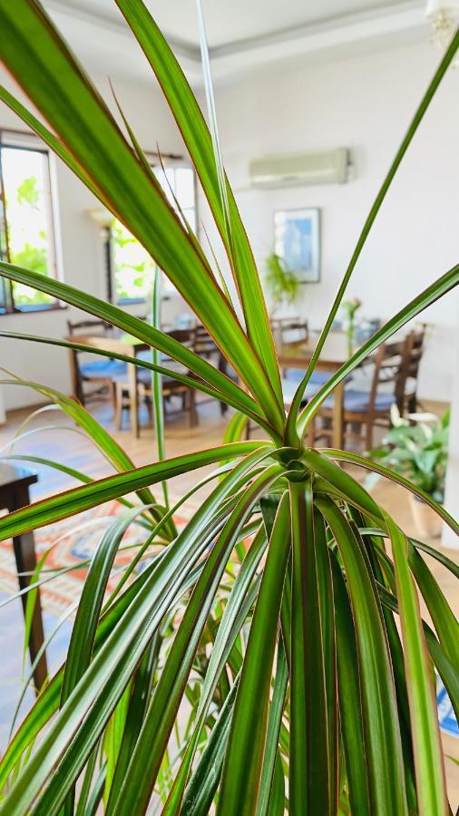 Kaleici Hotel Antalya Extérieur photo